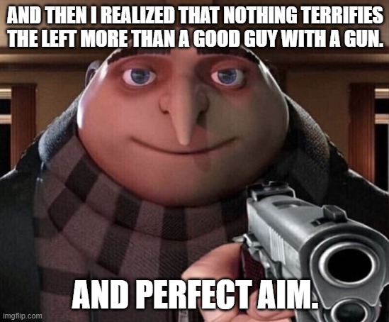 Gru is inspired. | AND THEN I REALIZED THAT NOTHING TERRIFIES THE LEFT MORE THAN A GOOD GUY WITH A GUN. AND PERFECT AIM. | image tagged in gru gun | made w/ Imgflip meme maker