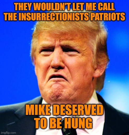 Trump logic | THEY WOULDN'T LET ME CALL THE INSURRECTIONISTS PATRIOTS; MIKE DESERVED TO BE HUNG | image tagged in sad trump | made w/ Imgflip meme maker