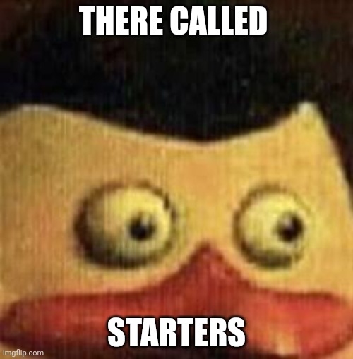 Wot u say penguin | THERE CALLED STARTERS | image tagged in wot u say penguin | made w/ Imgflip meme maker