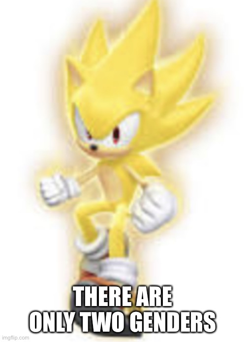 Low quality super sonic | THERE ARE ONLY TWO GENDERS | image tagged in low quality super sonic | made w/ Imgflip meme maker