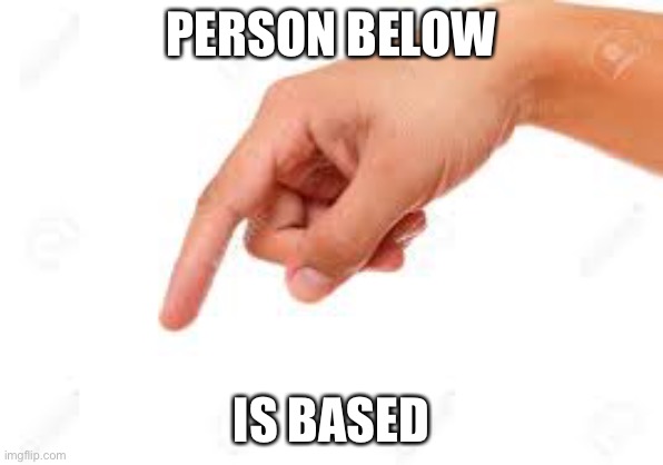 the person below | PERSON BELOW; IS BASED | image tagged in the person below | made w/ Imgflip meme maker