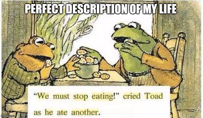 We must stop eating | PERFECT DESCRIPTION OF MY LIFE | image tagged in we must stop eating | made w/ Imgflip meme maker