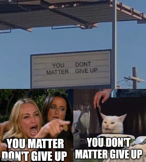 Cat meme | YOU DON'T MATTER GIVE UP; YOU MATTER DON'T GIVE UP | image tagged in woman yelling at cat | made w/ Imgflip meme maker