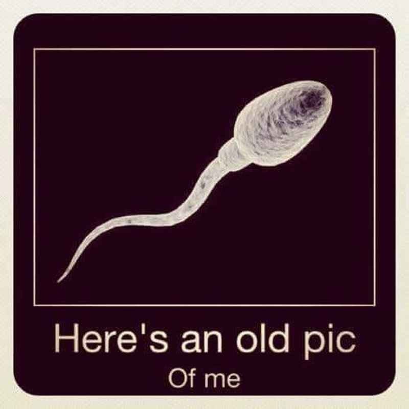 Dear Millennials: You are here because your Dad wasn't queer. | image tagged in old pictures,me when i was young,sperm,you are here because your dad wasnt queer | made w/ Imgflip meme maker