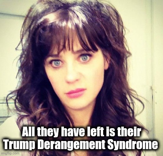 Zooey Deschanel | All they have left is their
Trump Derangement Syndrome | image tagged in zooey deschanel | made w/ Imgflip meme maker