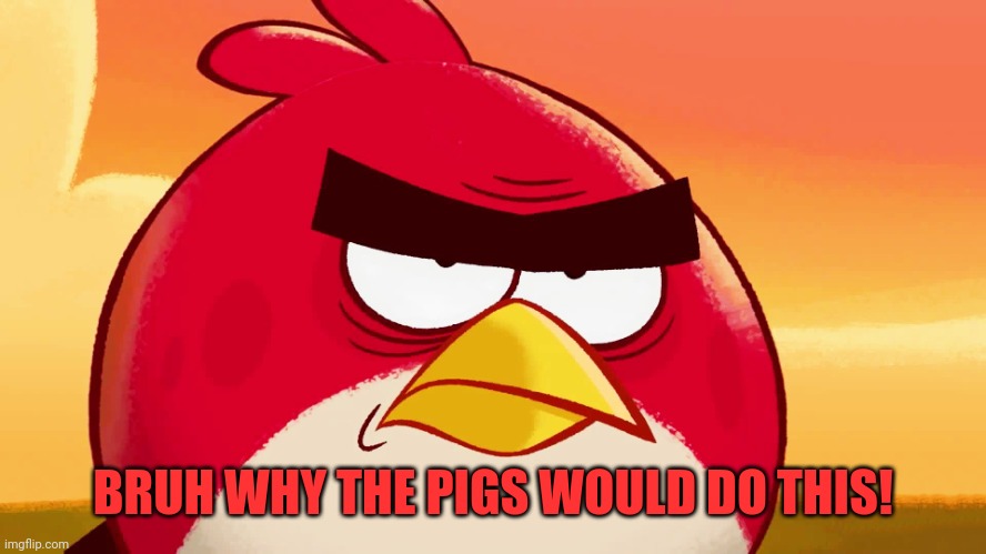 Red Bird Annoyed | BRUH WHY THE PIGS WOULD DO THIS! | image tagged in red bird annoyed | made w/ Imgflip meme maker