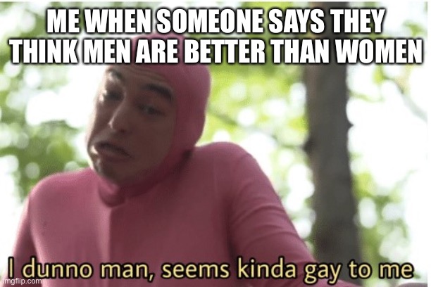 I dunno man seems kinda gay to me | ME WHEN SOMEONE SAYS THEY THINK MEN ARE BETTER THAN WOMEN | image tagged in i dunno man seems kinda gay to me | made w/ Imgflip meme maker