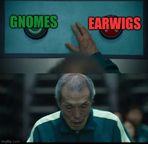 Squid Game Two Buttons | GNOMES EARWIGS | image tagged in squid game two buttons | made w/ Imgflip meme maker