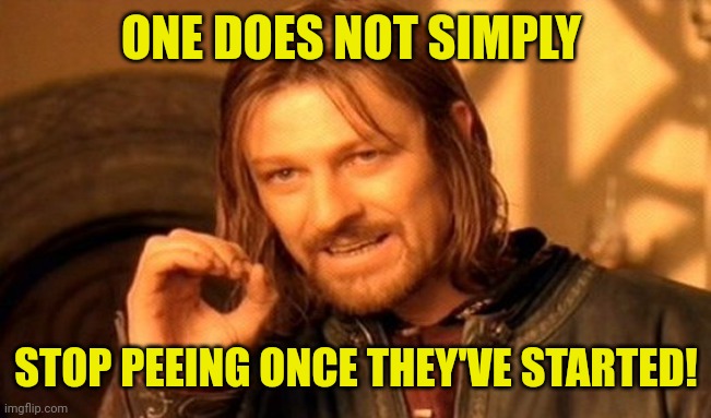 One Does Not Simply | ONE DOES NOT SIMPLY; STOP PEEING ONCE THEY'VE STARTED! | image tagged in memes,one does not simply | made w/ Imgflip meme maker