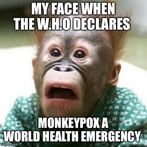 Sarcastic Monkeypox | MY FACE WHEN THE W.H.O DECLARES; MONKEYPOX A WORLD HEALTH EMERGENCY | image tagged in shocked monkey,monkeypox,emergency | made w/ Imgflip meme maker