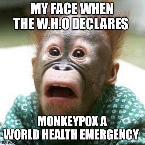 Monkeypox Memes That Will Make You Howl(er Monkey)