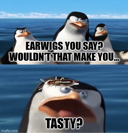 Wouldn't that make you | EARWIGS YOU SAY? WOULDN'T THAT MAKE YOU... TASTY? | image tagged in wouldn't that make you | made w/ Imgflip meme maker