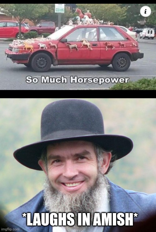 AMISH ONLY NEED ONE | *LAUGHS IN AMISH* | image tagged in amish,horses,cars,car | made w/ Imgflip meme maker