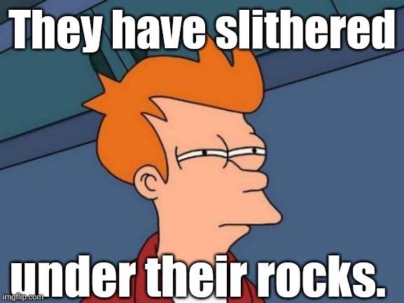 Fry is not sure... | They have slithered under their rocks. | image tagged in fry is not sure | made w/ Imgflip meme maker
