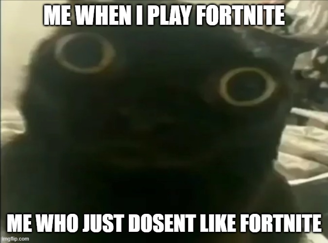 Jinx the cat | ME WHEN I PLAY FORTNITE; ME WHO JUST DOSENT LIKE FORTNITE | image tagged in jinx the cat | made w/ Imgflip meme maker