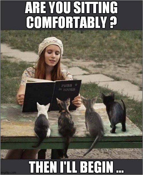 Keeping Kittens Entertained ! | ARE YOU SITTING COMFORTABLY ? THEN I'LL BEGIN ... | image tagged in cats,kittens,story | made w/ Imgflip meme maker