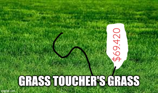touching grass | $69.420 GRASS TOUCHER'S GRASS | image tagged in touching grass | made w/ Imgflip meme maker