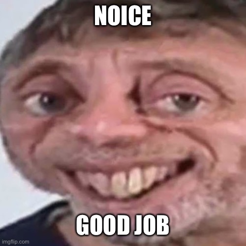 Noice | NOICE GOOD JOB | image tagged in noice | made w/ Imgflip meme maker