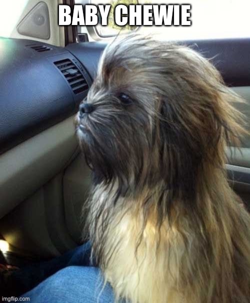 BABY CHEWIE | made w/ Imgflip meme maker
