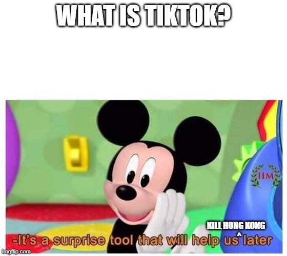 It's a surprise tool that will help us later | WHAT IS TIKTOK? KILL HONG KONG
    ^ | image tagged in it's a surprise tool that will help us later | made w/ Imgflip meme maker