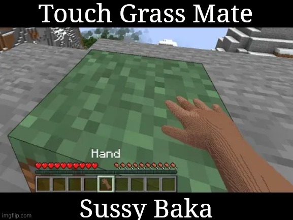 Hand touching Minecraft grass block | Touch Grass Mate Sussy Baka | image tagged in hand touching minecraft grass block | made w/ Imgflip meme maker