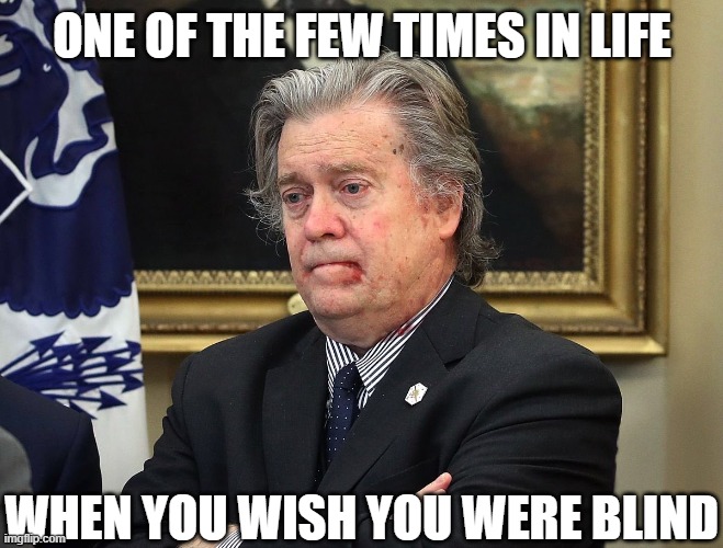 ONE OF THE FEW TIMES IN LIFE; WHEN YOU WISH YOU WERE BLIND | image tagged in politics,steve bannon,funny | made w/ Imgflip meme maker