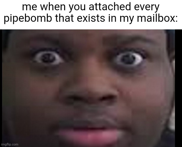 Ruh Roh. I will 100% Die if that actually happened. | me when you attached every pipebomb that exists in my mailbox: | image tagged in edp stare | made w/ Imgflip meme maker