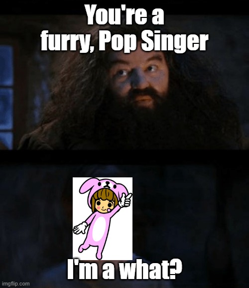 you are a wizard harry | You're a furry, Pop Singer; I'm a what? | image tagged in you are a wizard harry | made w/ Imgflip meme maker