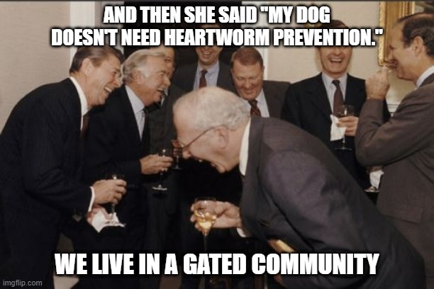 Gated community's | AND THEN SHE SAID "MY DOG DOESN'T NEED HEARTWORM PREVENTION."; WE LIVE IN A GATED COMMUNITY | image tagged in memes,laughing men in suits,veterinarian,animals | made w/ Imgflip meme maker