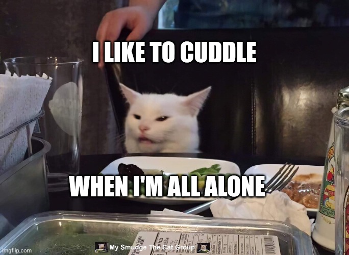 I LIKE TO CUDDLE; WHEN I'M ALL ALONE | image tagged in smudge the cat | made w/ Imgflip meme maker