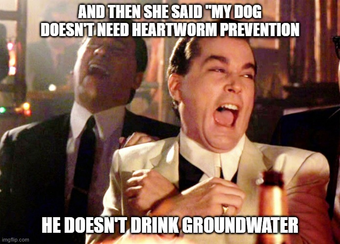 dont need heartworm prevention | AND THEN SHE SAID "MY DOG DOESN'T NEED HEARTWORM PREVENTION; HE DOESN'T DRINK GROUNDWATER | image tagged in memes,good fellas hilarious,veterinarian | made w/ Imgflip meme maker