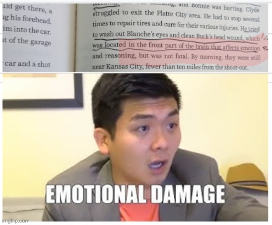 EMOTIONAL DAMAGE meme