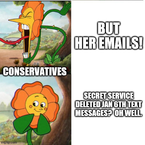 Cuphead Flower | BUT HER EMAILS! CONSERVATIVES; SECRET SERVICE DELETED JAN 6TH TEXT MESSAGES?  OH WELL. | image tagged in cuphead flower | made w/ Imgflip meme maker