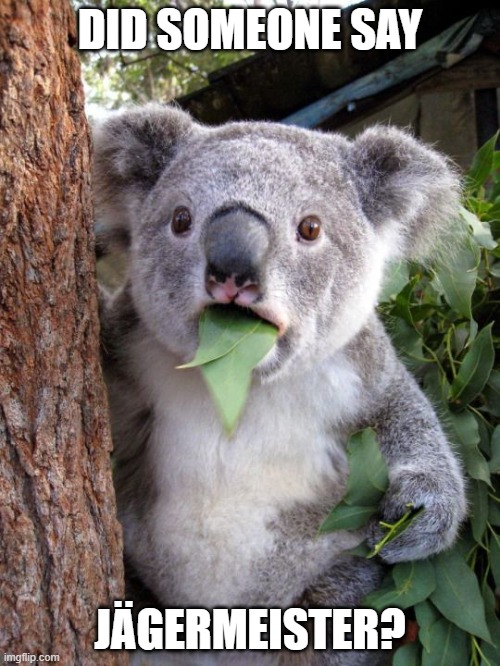 shocked koala | DID SOMEONE SAY; JÄGERMEISTER? | image tagged in shocked koala | made w/ Imgflip meme maker