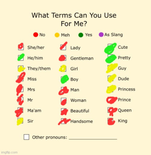 Pronouns | image tagged in pronouns sheet | made w/ Imgflip meme maker