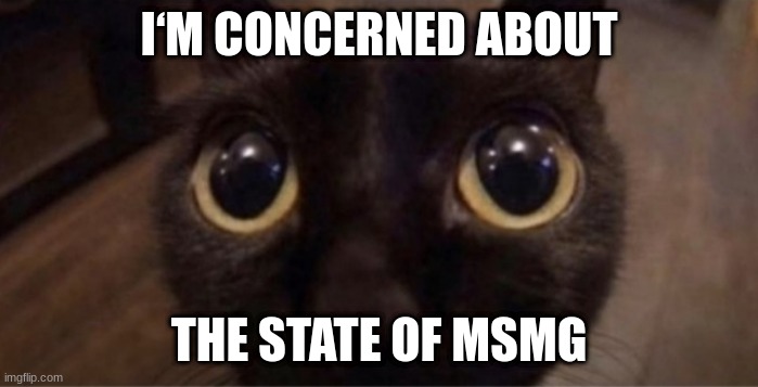 fr | I‘M CONCERNED ABOUT; THE STATE OF MSMG | image tagged in skrunkly | made w/ Imgflip meme maker