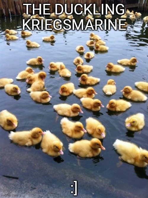 Ducklings  | THE DUCKLING KRIEGSMARINE; :] | image tagged in ducklings | made w/ Imgflip meme maker