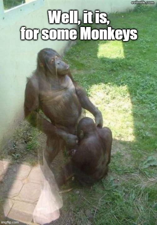 Well, it is, for some Monkeys | made w/ Imgflip meme maker
