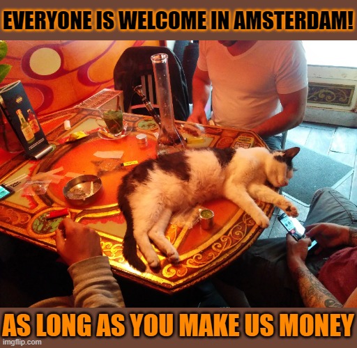 This #lolcat wonders if really everyone is welcome in Amsterdam | EVERYONE IS WELCOME IN AMSTERDAM! AS LONG AS YOU MAKE US MONEY | image tagged in lolcat,amsterdam,think about it,coffeeshop | made w/ Imgflip meme maker
