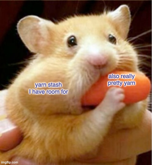 My life as a knitting hamster | also really pretty yarn; yarn stash I have room for | image tagged in hamster eats carrot mouthful,crafts,knitting,first world problems,rodent,stash | made w/ Imgflip meme maker