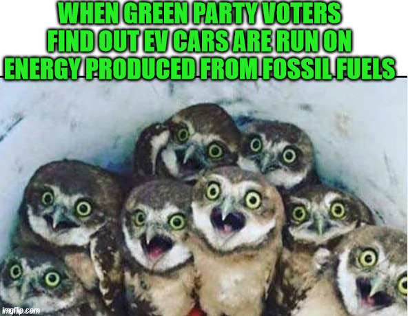 WHEN GREEN PARTY VOTERS FIND OUT EV CARS ARE RUN ON ENERGY PRODUCED FROM FOSSIL FUELS | image tagged in blank white template | made w/ Imgflip meme maker