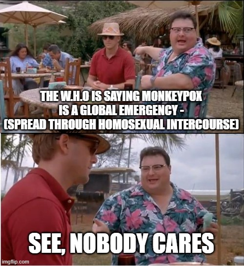 See Nobody Cares Meme | THE W.H.O IS SAYING MONKEYPOX IS A GLOBAL EMERGENCY -
(SPREAD THROUGH HOMOSEXUAL INTERCOURSE); SEE, NOBODY CARES | image tagged in memes,see nobody cares | made w/ Imgflip meme maker