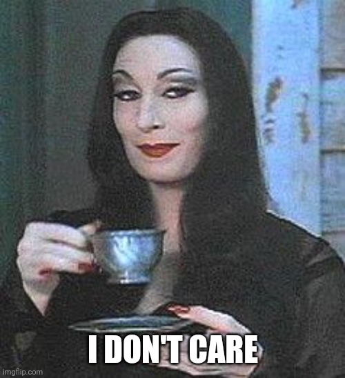 Morticia Addams | I DON'T CARE | image tagged in morticia addams,memes | made w/ Imgflip meme maker