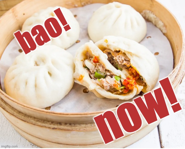 no questions! | bao! now! | image tagged in food,snacks,delicious,yum,bao | made w/ Imgflip meme maker