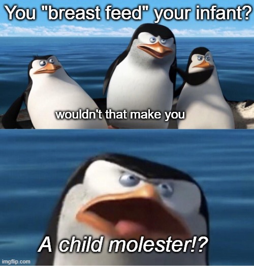 Twitter makes a connection | You "breast feed" your infant? wouldn't that make you; A child molester!? | image tagged in wouldn't that make you | made w/ Imgflip meme maker