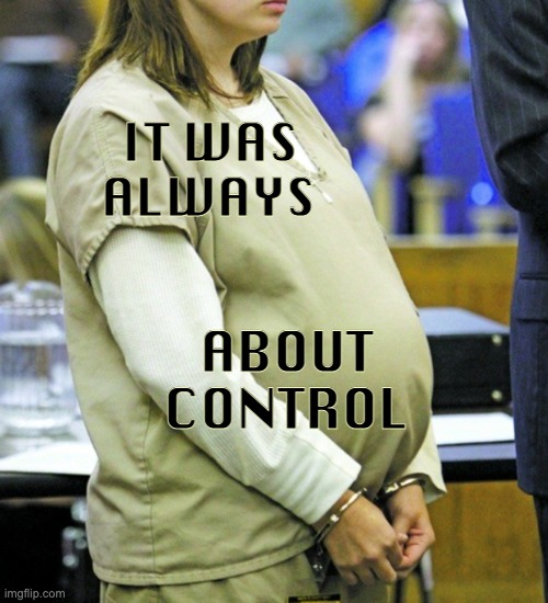 More dominoes drop on women's freedom and safety (link in comments) | IT WAS
ALWAYS; ABOUT
CONTROL | image tagged in pregnant prisoner,pregnancy,control,women's rights,abortion,divorce | made w/ Imgflip meme maker