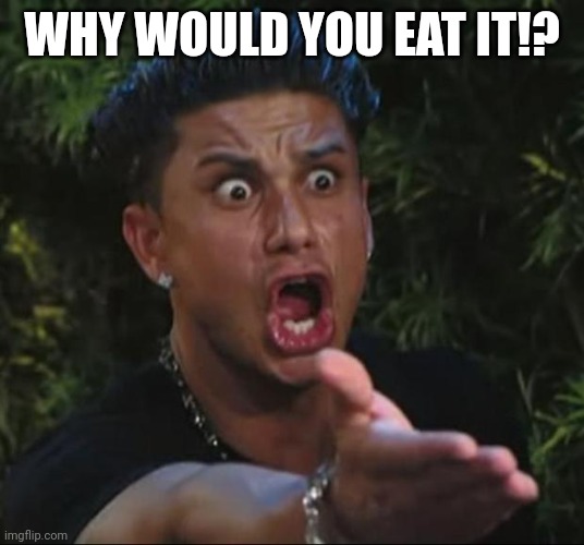 DJ Pauly D Meme | WHY WOULD YOU EAT IT!? | image tagged in memes,dj pauly d | made w/ Imgflip meme maker