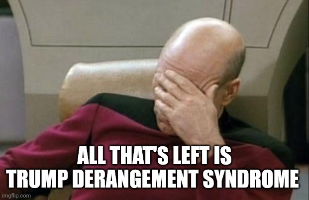 Captain Picard Facepalm Meme | ALL THAT'S LEFT IS TRUMP DERANGEMENT SYNDROME | image tagged in memes,captain picard facepalm | made w/ Imgflip meme maker