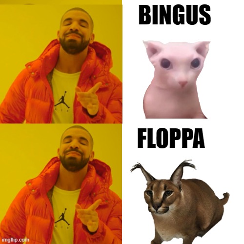 The war is over | BINGUS; FLOPPA | image tagged in drake double approval | made w/ Imgflip meme maker