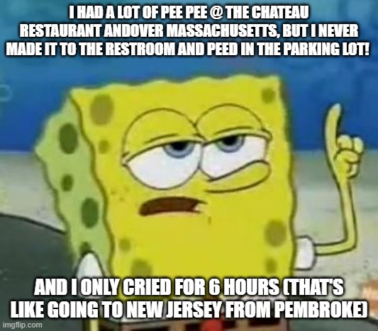 SpongeBob's Chateau Bathroom Accident Story, Crying like a trip from Pembroke to NJ (6 hr. nonstop crying) | I HAD A LOT OF PEE PEE @ THE CHATEAU RESTAURANT ANDOVER MASSACHUSETTS, BUT I NEVER MADE IT TO THE RESTROOM AND PEED IN THE PARKING LOT! AND I ONLY CRIED FOR 6 HOURS (THAT'S LIKE GOING TO NEW JERSEY FROM PEMBROKE) | image tagged in memes,i'll have you know spongebob,new jersey,pee | made w/ Imgflip meme maker